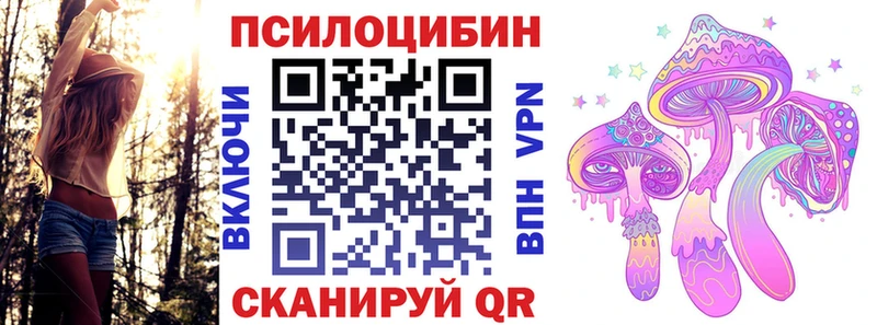 Псилоцибиновые грибы GOLDEN TEACHER Кстово